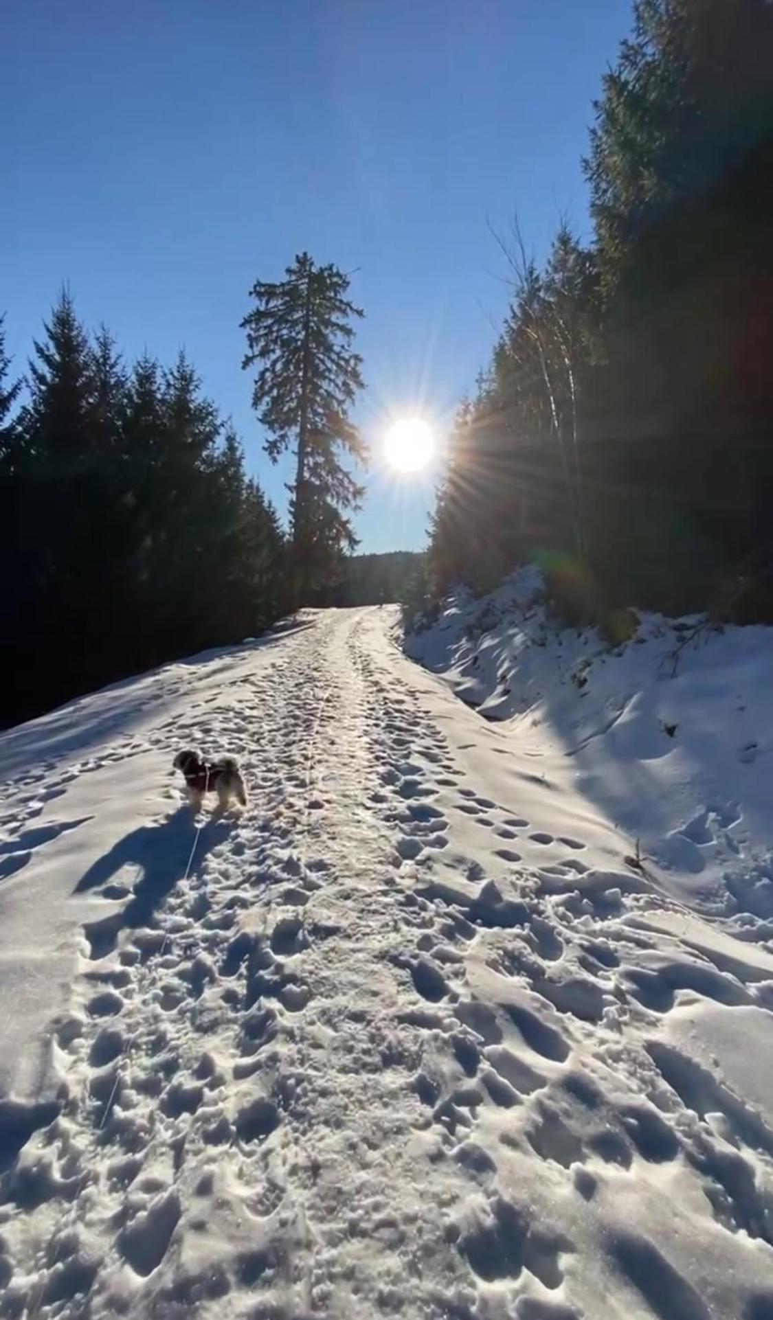 Schwarzwaldliebe Ferienzimmer Mit Bad Gaggenau Exterior foto